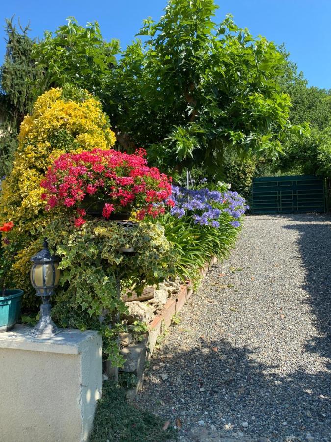 Gite Moncherie Colayrac-Saint-Cirq ภายนอก รูปภาพ